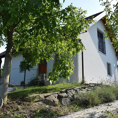 Domacija Vrski 斯洛文斯卡比斯特里卡 外观 照片