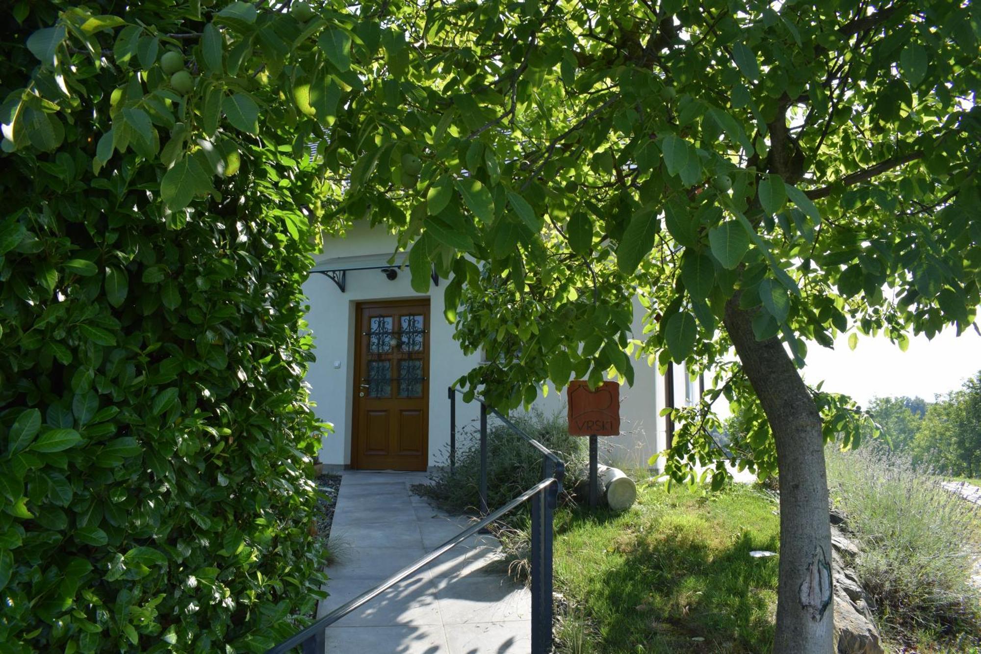 Domacija Vrski 斯洛文斯卡比斯特里卡 外观 照片